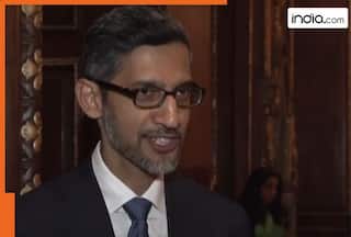 Meet man who was Google CEO Sundar Pichai batchmate at IIT, gave up high paying job to become a monk, his name is...