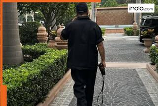 india.com top news