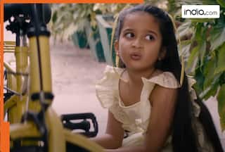 This film released in 2025, was a blockbuster, earned more than Rs 200 crore, is now set for its OTT debut, movie is..., lead actors are...