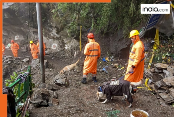 Uttarakhand cloudburst: Heavy rain wreaks havoc in Dehradun; 15 killed in state, 900 stranded | Key updates