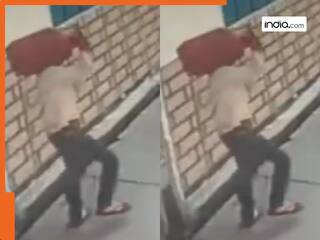 ‘जैसा करोगे वैसा भरोगे’..चोरी कर कंधे पर रख ले जा रहा था सिलेंडर, अगले पल जो हुआ उसे कभी नहीं भूलेगा चोर...देखिए Viral Video