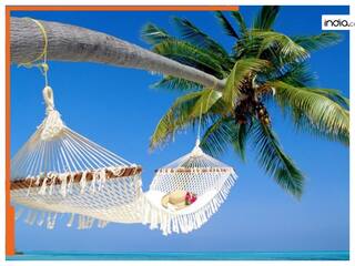 IRCTC ने पेश किया 6 दिन का अंडमान टूर पैकेज, किराया और डिटेल जानिये