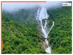 Dudhsagar Falls Goa:गोवा- कर्नाटक की सीमा पर है ये सुंदर झरना, 320 मीटर ऊंचाई से गिरता है पानी