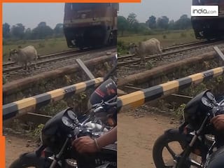 तेज रफ्तार ट्रेन के आगे दौड़ रही थी गाय… तभी रेलवे ट्रैक पर जो हुआ, उसने सबका दिल छू लिया |  देखिए पूरा वीडियो