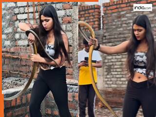Ladki Ka Video: पहले किया मेकअप फिर सांप पकड़ने पहुंच गई लड़की, ग्लैमरस स्नेक कैचर को देख हिल गया इंटरनेट | देखें वीडियो
