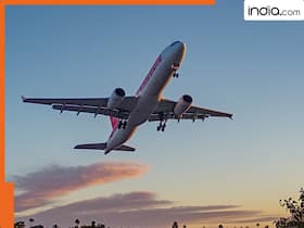 india.com top news