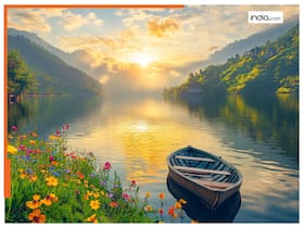 india.com top news