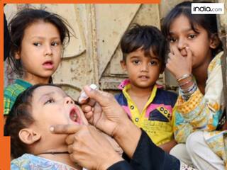 india.com top news
