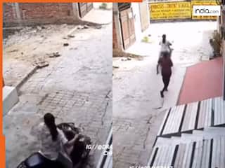 Scooty Girl Ka Video: घर के बाहर रखा गमला चुराने लगी स्कूटी गर्ल, तभी जो हुआ सोच-सोचकर हंसेंगे | देखें वीडियो