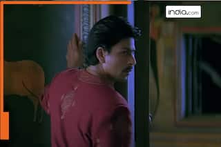 This is Shah Rukh Khan's biggest flop film, was rejected by Kajol, Aishwarya Rai, Tabu, made for Rs 140000000, earned Rs..., lead actress was..