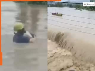 इंसानियत की मिसाल बना ये शख्स, नदी में डूब रहे कुत्ते को बचाने के लिए लगा दी छलांग, देखें वीडियो