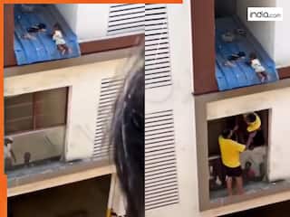 Viral Video Today: बालकनी में खड़ी थी मां तभी हाथ से छूट गया बच्चा, रोंगटे खड़े कर देगा आगे का सीन | देखें वीडियो