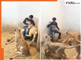india.com top news