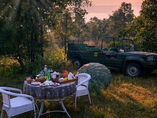 7 Hidden Birdwatching Gems Near Nagpur Every Nature Lover Must Visit