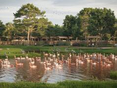 7 Hidden Saltwater Lakes Near Delhi You Must Visit For An Unforgettable Birdwatching Experience