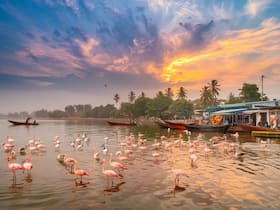 india.com top news