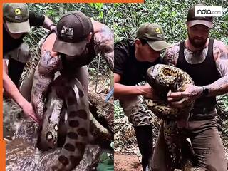 Anaconda Ka Video: एनाकोंडा को दबोचने पहुंच गया शख्स, मगर जो दिखा रोंगटे खड़े हो जाएंगे | देखें वीडियो