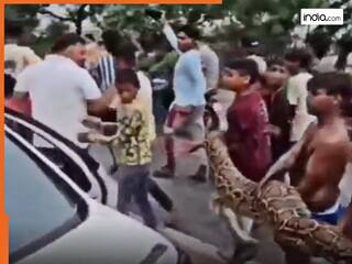 Azgar Ka Video: विशालकाय अजगर को उठाकर चलती दिखी बच्चों की टोली, खूब Viral हो रहा ये वीडियो