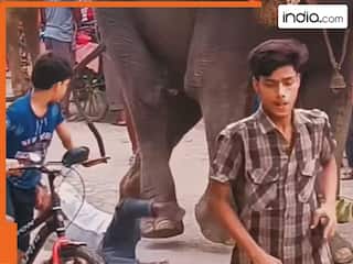 गजराज के साथ मजाक नहीं! हाथी पर बैठे लड़कों को कुछ सामान देने गया युवक, तभी हो गया खेला देखें; Viral Video