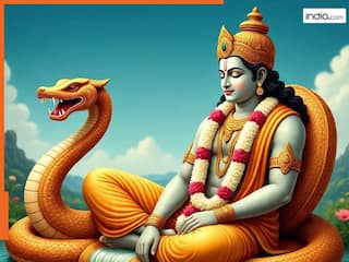 Chaturmas 2025: अगर चातुर्मास में कर लिए ये काम तो दूर होगी पैसी की समस्या, धन से भर जाएगी तिजोरी
