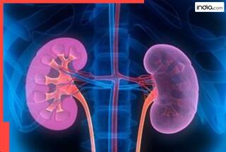 किडनी खराब होने से पहले शरीर देने लगता है ये 5 संकेत....हल्के में ना लें...नहीं तो पछताएंगे