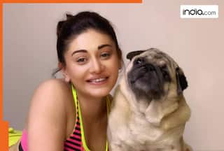Days after Shefali Jariwala's death, her dog Simba's health worsened? Parag Tyagi reacts, 'Some cruel people…'