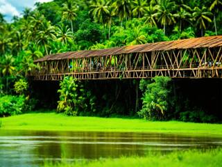 From Hidden Waterfalls to Secret Cafes – 9 Unbelievable Places In Wayanad That Don’t Feel Real