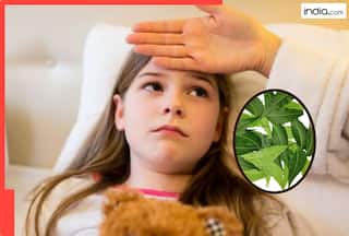 मानसून में बीमारियां नहीं छोड़ रहीं आपका पीछा...इन 3 तरह से करें नीम का सेवन..बच्चे से लेकर बूढ़े तक सभी रहेंगे स्वस्थ