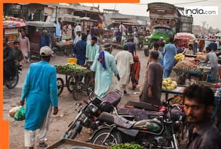 Beggar Pakistan drowning in debt, won't be able to repay loans due to...; IMF, World Bank will...