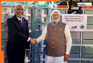 India will continuously cooperate in development of defence capabilities of Maldives: PM Modi in Male