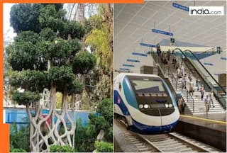 This Indian railway station has one tree worth Rs 2500000, it is not in Mumbai, Kolkata, Lucknow, Bengaluru, Chennai, name is...; daily maintenance cost of this tree is a shocking Rs...