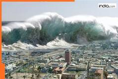 Indondesia, Japan, Australia...: As massive earthquake hits Russia, tsunami alert issued for 44 countries; check complete list here