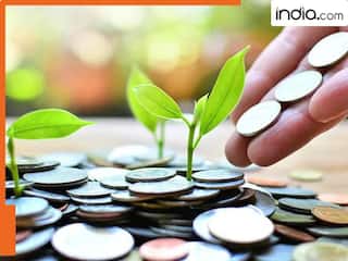 ये हैं LIC की बेस्ट 5 म्‍यूचुअल फंड स्‍कीम, सालाना 12 से 16% तक का मिल रहा रिटर्न, 10 साल में  4 गुना बढ़ गया निवेशकों का पैसा