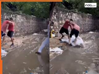 Funny Video Today: भाग कर लड़ाई छुड़ाने गया था शख्स, मगर ऐसी किक पड़ी कहीं का ना रहा बेचारा | देखें वीडियो