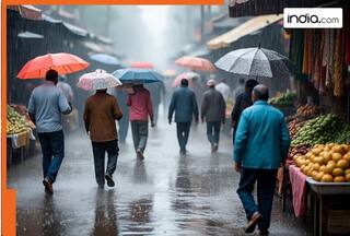 Mumbai Rains LIVE updates: IMD predicts heavy rains, issues Orange Alert for THESE places, Red alert for Raigad