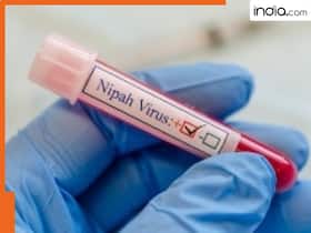 india.com top news