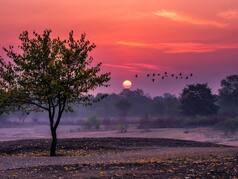 Only Locals Know About These Dreamy Monsoon Spots Within 3 Hours of Delhi – Where Have You Been?