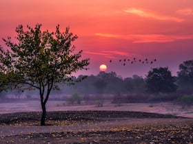 india.com top news