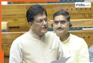 Day after FM Nirmala Sitharaman's announcement, Piyush Goyal makes big call on US tariffs, says...