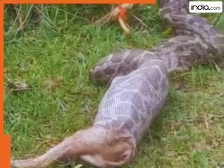 india.com top news