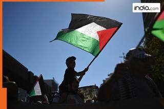 How many countries recognise Palestine as independent nation? Names include India, Pakistan, China, UAE, Russia and..., Check full list