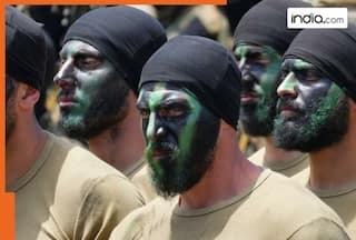 Who are Radwan fighters and why are they dangerous? They are preparing for big attack on Israel, fighters are from..., not Gaza, Iran