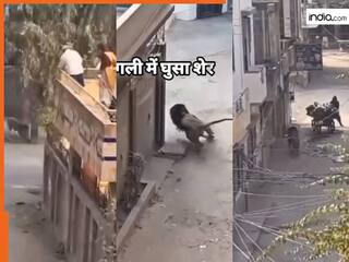 india.com top news
