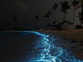 Luminous Shores & Dreamy Floors With Glow-Wonder Experiences Near Trivandrum