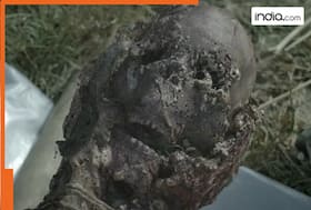 india.com top news