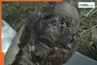 This 16-episode suspense thriller web series will send chills down your spine, has 8.5 rating on IMDb, name is…, lead actors are…