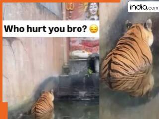 india.com top news