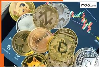 Rs 1900000000000 lost in a year due to...., loss suffered by many including...