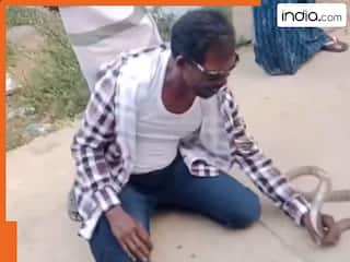 काला चश्मा पहनकर कोबरा से कर रहा ता डांस में कंपटीशन, फिर सांप ने पलक झपकते ही कर दिया खेल, देखें Video