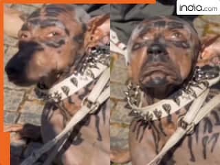 india.com top news